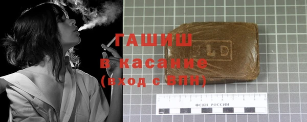 соль ск Инсар