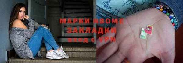 соль ск Инсар