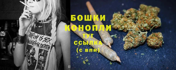 соль ск Инсар