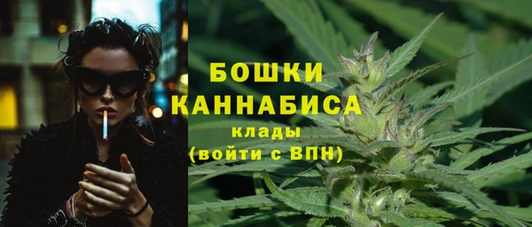 соль ск Инсар