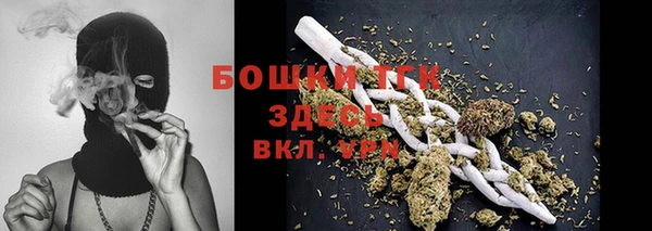 прущая мука Инта