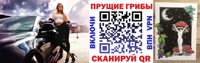 Галлюциногенные грибы Psilocybe Глазов
