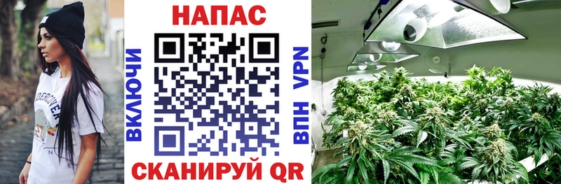 Купить  Глазов  Бошки марихуана гибрид 